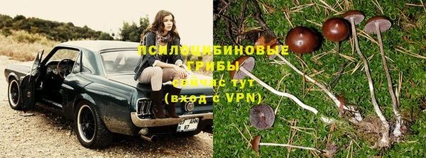 ALPHA PVP Алексеевка