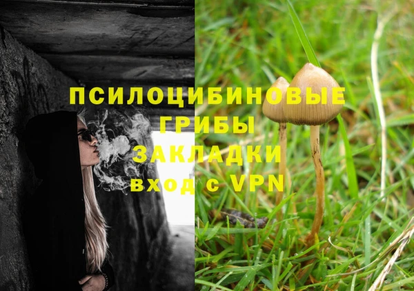 ALPHA PVP Алексеевка