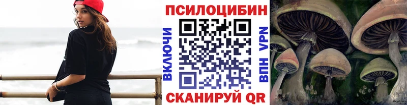 Псилоцибиновые грибы Psilocybine cubensis  Тогучин 
